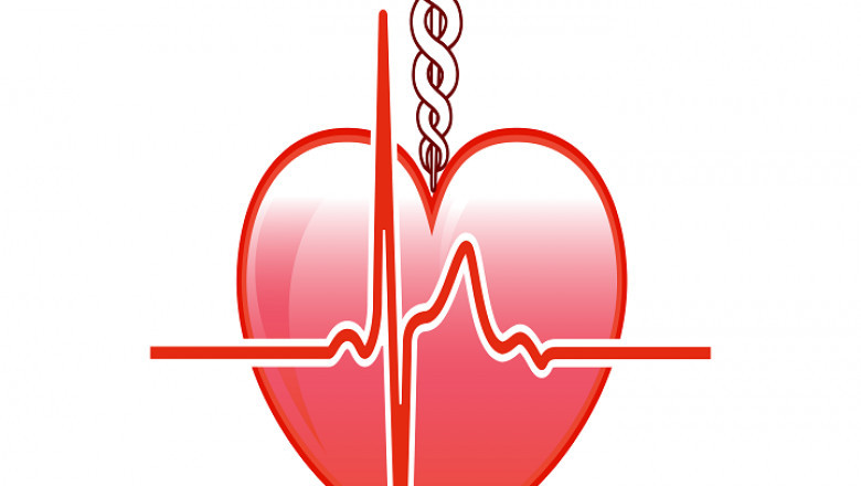 Essential Aspects of American Red Cross CPR and First Aid Certification