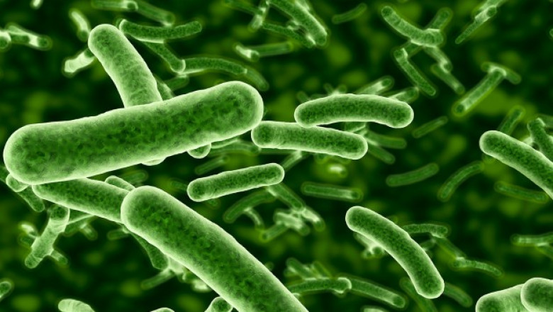 Industrial Microbiology Market Size, Share Global Updates, Future Growth, Forthcoming Developments