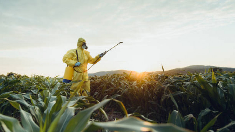 How to Keep your House Clean and Safe from Bugs.