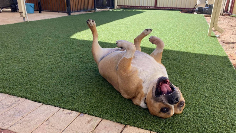 Astroturf