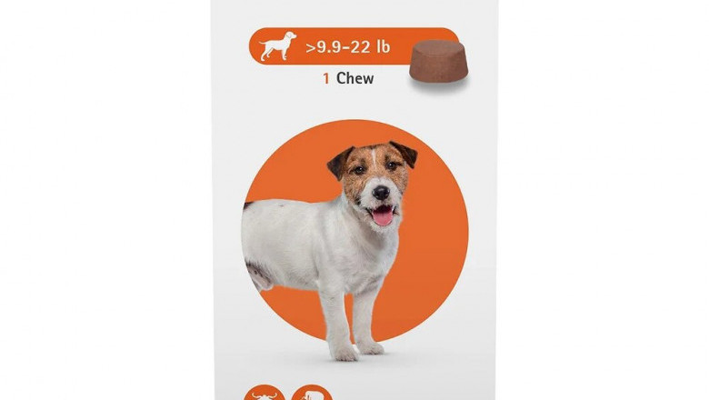 Buy Bravecto for Small Dogs 9.9-22lbs(Orange)|petcaresupplies