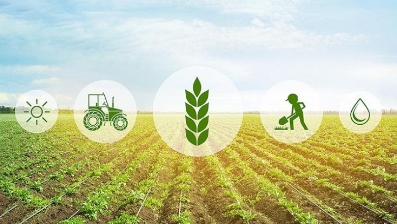 Cellular Agriculture Market Forecast, Share, Size, Growth 2022-2027