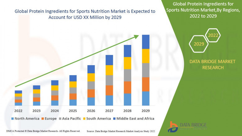 Protein ingredients for sports nutrition market have been segmented into concentrate, isolate and others.