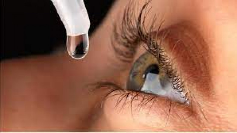 Retinal Biologics Market Size, Share, Regional Overview and Global Forecast to 2028