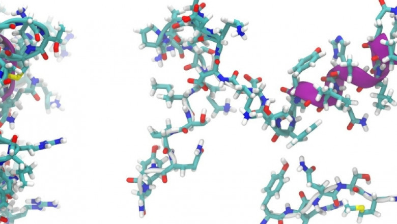 The Use Of Peptide Based Infection Therapeutics Can Cure Conditions Such As Diabetes, Cancer, Contagious Diseases, And Autoimmune Diseases