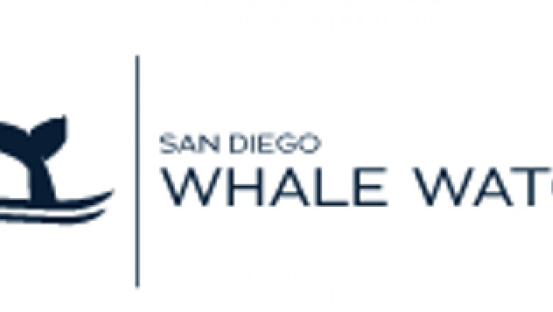 Whale watching in San Diego in November month