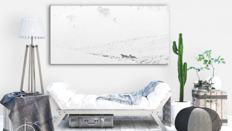 What Are the Different Kinds of Commercial Photography?