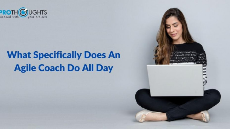 What Specifically Does An Agile Coach Do All Day