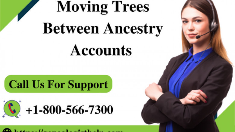 Ancestry Move Trees Between Accounts