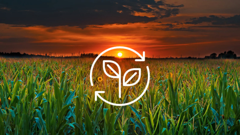 Bioethanol: An Alternative Fuel, Ethanol Is Referred To As Bioethanol, Since It Is Flammable And Colorless
