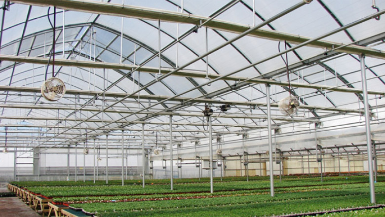 Commercial Greenhouse Market share, size, and Growth 2027