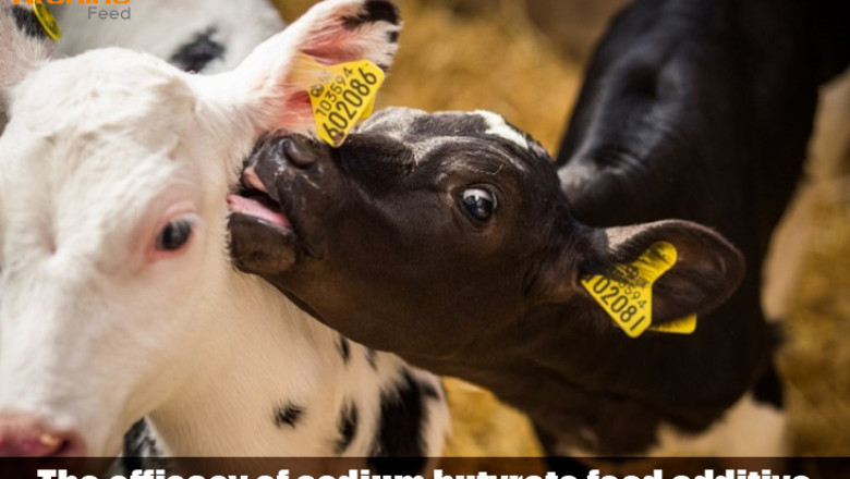 The efficacy of sodium butyrate feed additive