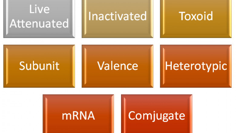 Types of vaccines India exports to the rest of the world