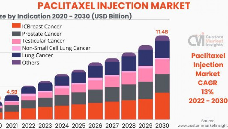 Global Paclitaxel Injection Market 2022 – 2030