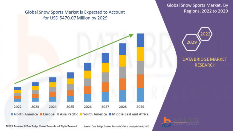 Snow Sports Market Leader