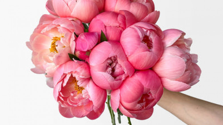 How to Choose a Flower Delivery Company