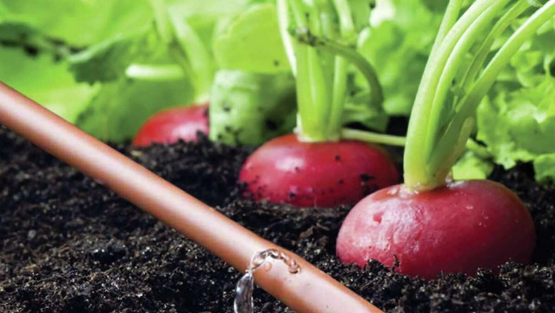Known Also As Trickle Irrigation, Drip Irrigation Ensures A Consistent Water Application To Soil Surfaces Through Slow, Gentle Watering