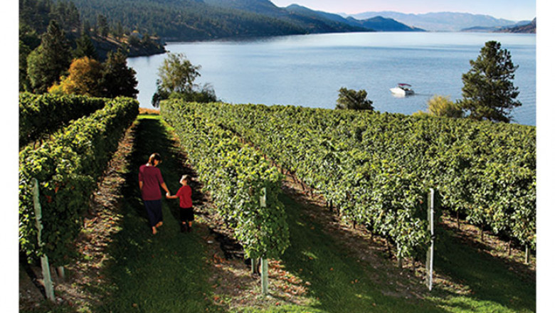 Benefits of opting for wine tasting tours