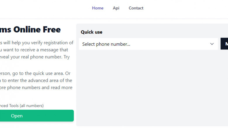How to Send SMS Online: The Ultimate Guide