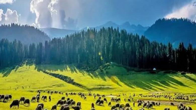 Best Selling Kashmir Tour Packages - Popular Kashmir Packages