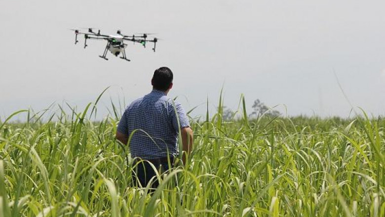 Crop Scouting Market Growth, Share, Size and Forecast 2027