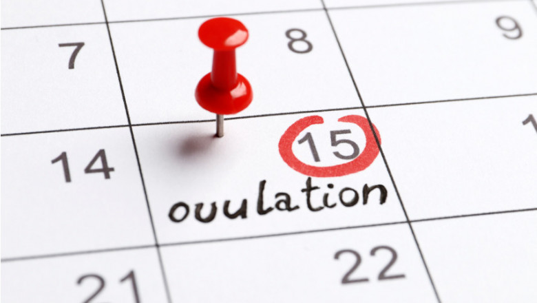 Do You Know The Working of Ovulation Calculator