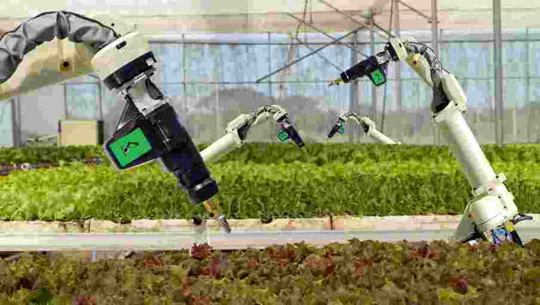 China AI in Agriculture Market Share, Size, Growth and Forecast 2027