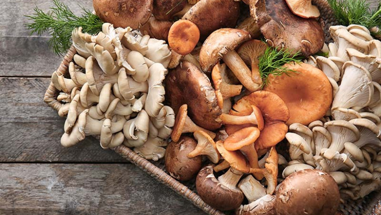 Frozen Mushrooms Market - Forecast (2023 - 2028)