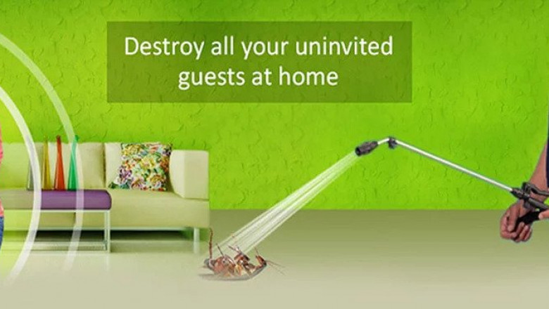 "Pest Management Services | Solutions Pest Control "