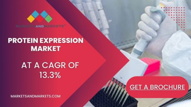 Protein Expression Market: Key Players, Overview, Demand & Supply Chain Analysis, Forecast To 2027