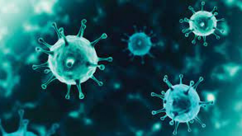 Antibacterial Coating Market Size, Key Players & Forecast Report to 2028