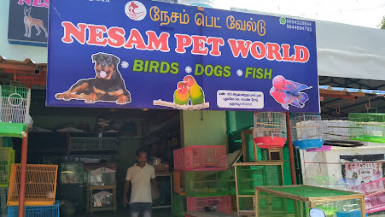 Petshop In Thanjavur And Mannarkudi | Aquarium In Thanjavur And Mannarkudi