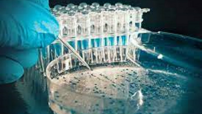 Recombinant Protein Market Size, In-depth Analysis Report and Global Forecast to 2028