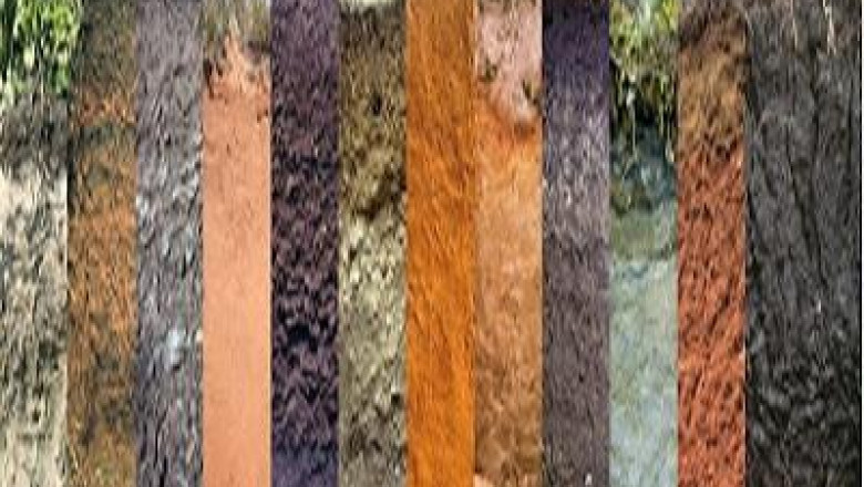 Digital Soil Mapping Market Share, Size, Gorwth and Forecast 2022-2027