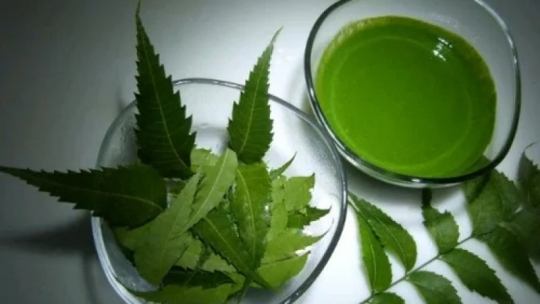 India Neem Extracts Market Share, Size, Gorwth and Forecast 2022-2027