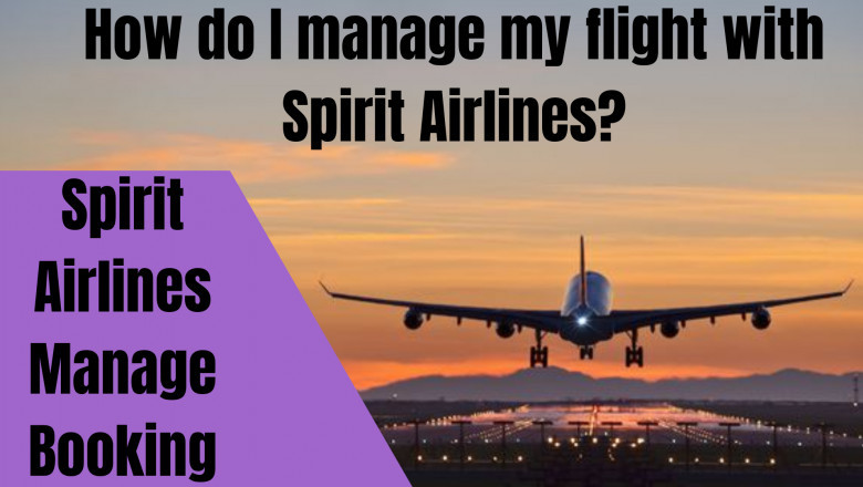 How can I manage my Spirit Airlines flight?