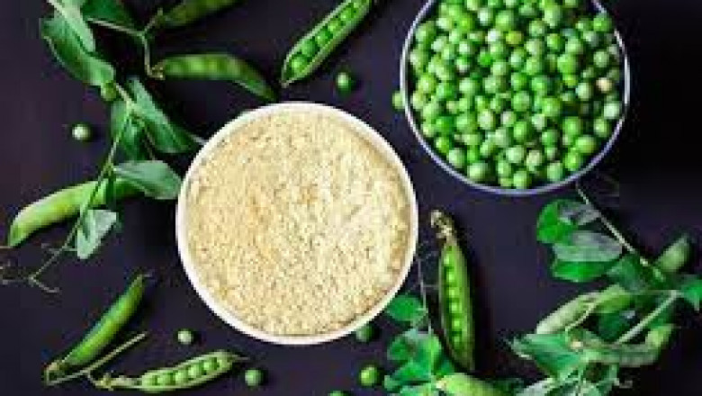 Pea Protein Market Size, Status, Growth | Industry Analysis Report 2020-2028