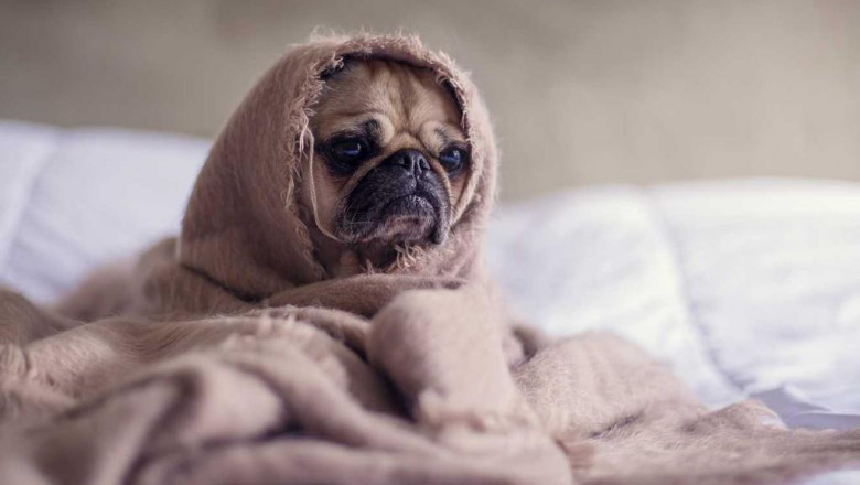 15 things your boss wishes you knew about 2 person hyperbaric chamber