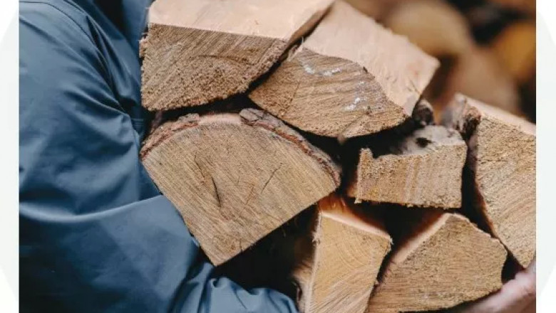 Get the Information You Need to Buy the Best Firewood