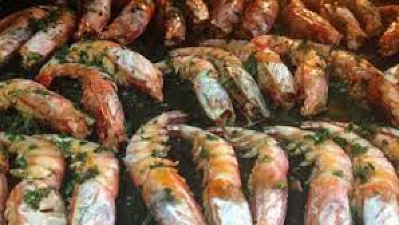 Global Chitosan Market Share, Size, Growth and Forecast
