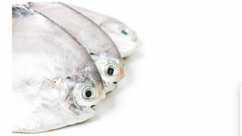 White Vaval Fish: Health Benefits And Nutritional Value