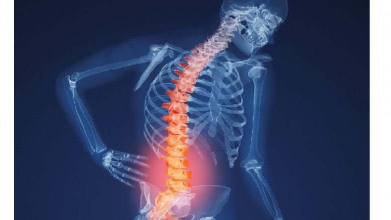 Step-by-step guidelines to determine if you are receiving treatment from a reputable rheumatologist