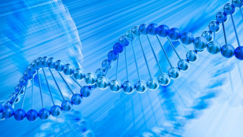 Bioinformatics Platforms Blends Mathematics, Biology, And Information Science