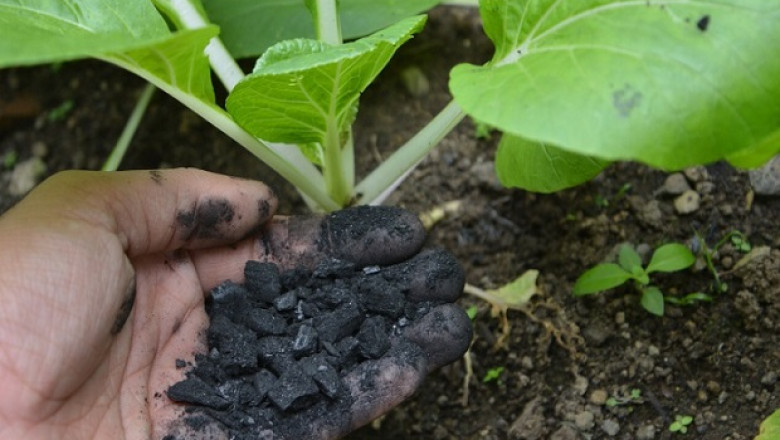 Global Biochar Market Share, Growth, Size and Forecast