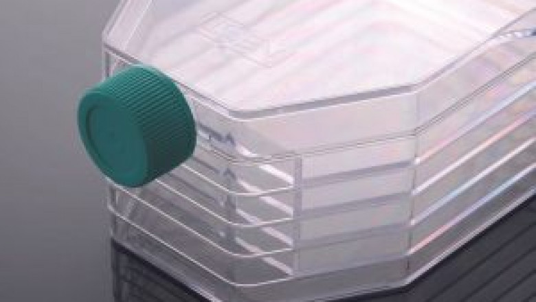 Molecular Biology Products