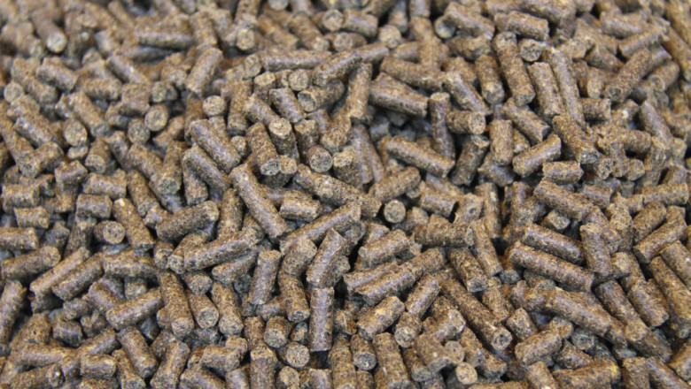 North America Animal Feed Additive Market Share, Growth, Size and Forecast