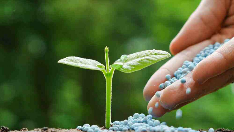 Global Complex Fertilizers Market Share, Size, Trends, Growth and Forecast