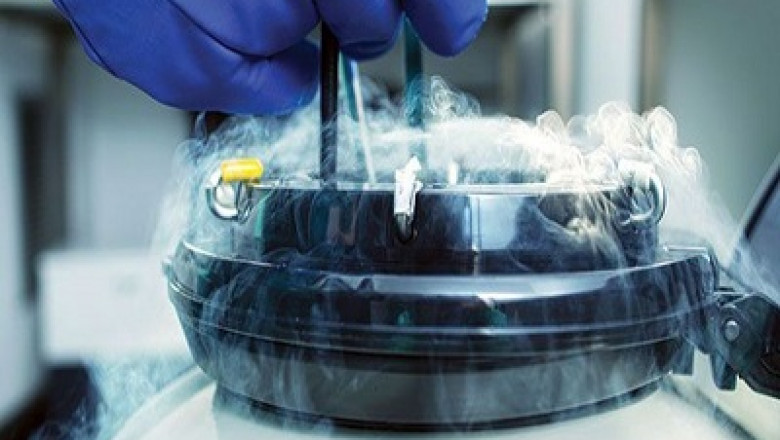 Liquid Nitrogen Market Size, Share, Growth, Analysis, Opportunity and Forecast to 2030 | ChemAnalyst