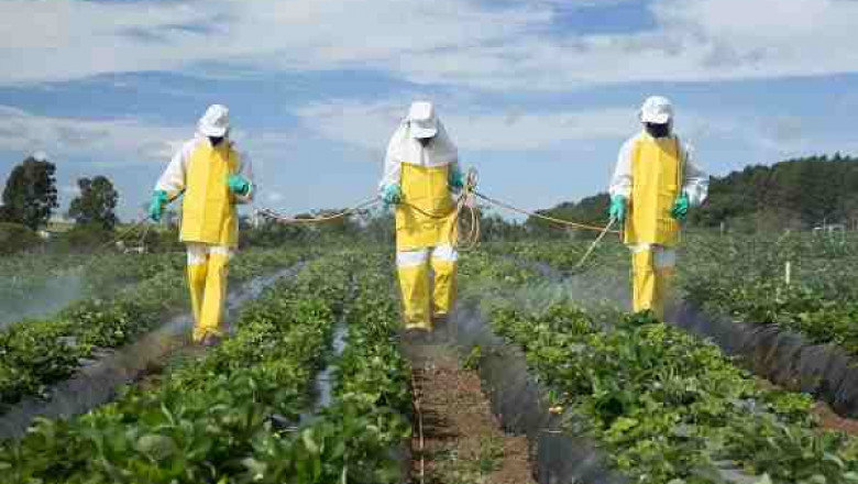 Saudi Arabia Pesticide Residue Testing Market Share, Size, Trends, Growth and Forecast