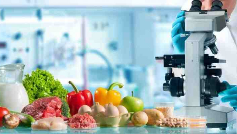 UAE Pesticide Residue Testing Market Share, Size, Trends, Growth and Forecast